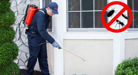 Sur Sivrisinek İlaçlama böcek ilaçlama ve haşere kontrolü — ilaclama-tr.com